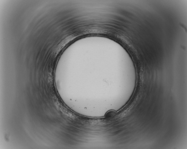 X0000103171025200809121856