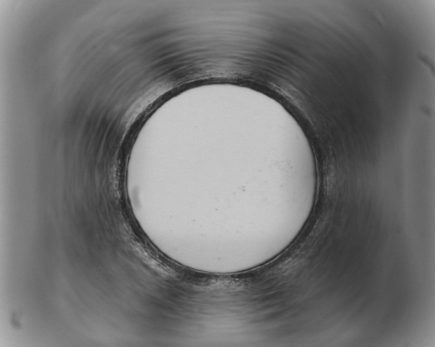 X0000103171026200809121856