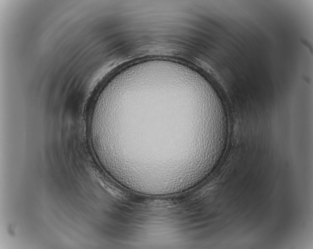 X0000103171027200809121856