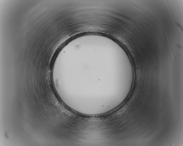 X0000103171029200809121856