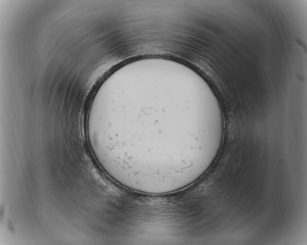 X0000103171030200809121856