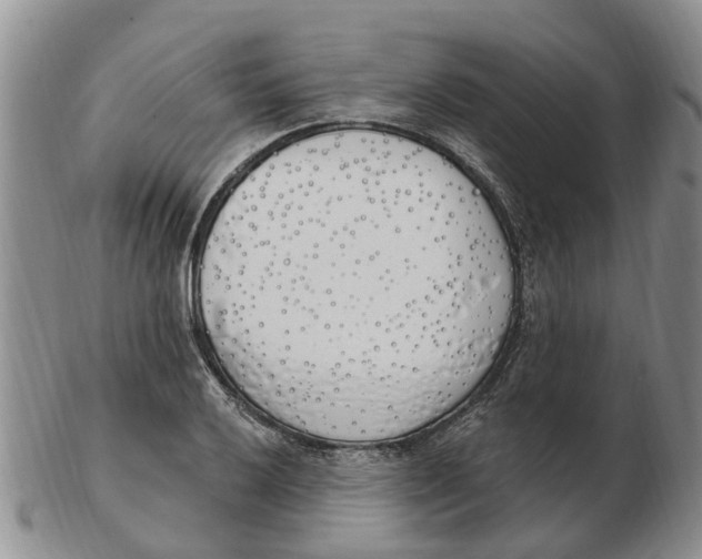 X0000103171032200809121856