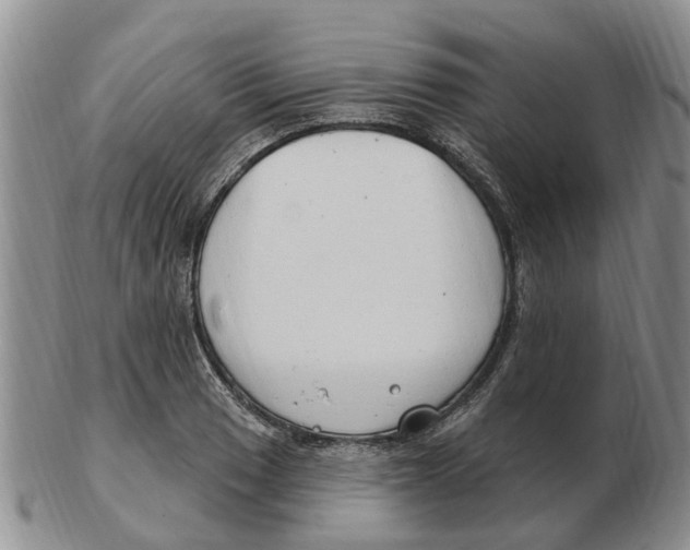 X0000103171033200809121856