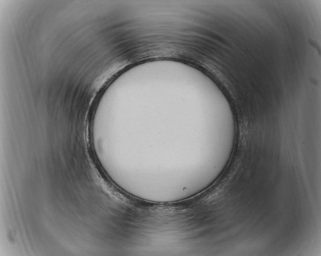 X0000103171034200809121856