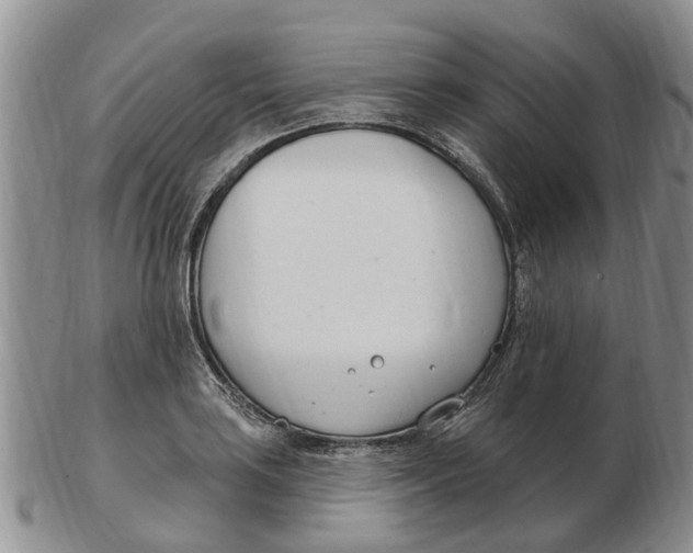 X0000103171035200809121856