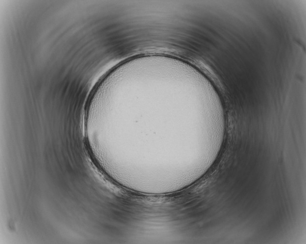 X0000103171036200809121856