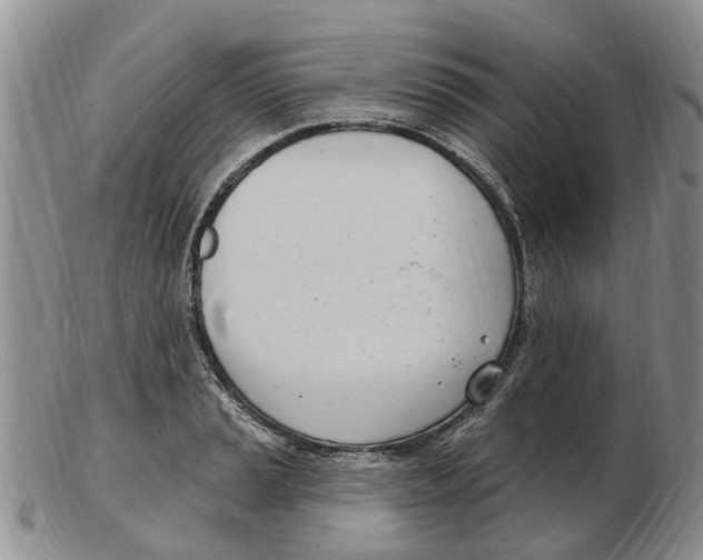 X0000103171037200809121856