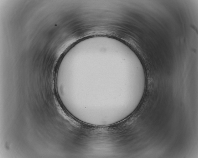 X0000103171038200809121856