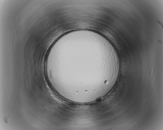 X0000103171039200809121856