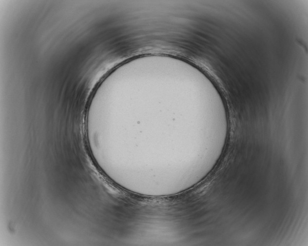 X0000103171040200809121856