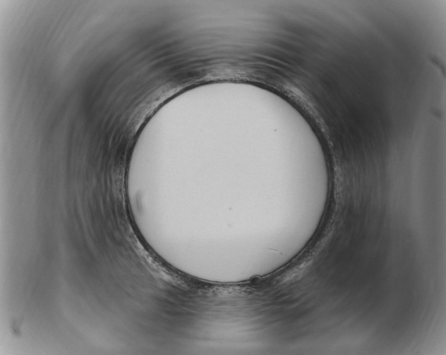 X0000103171041200809121856