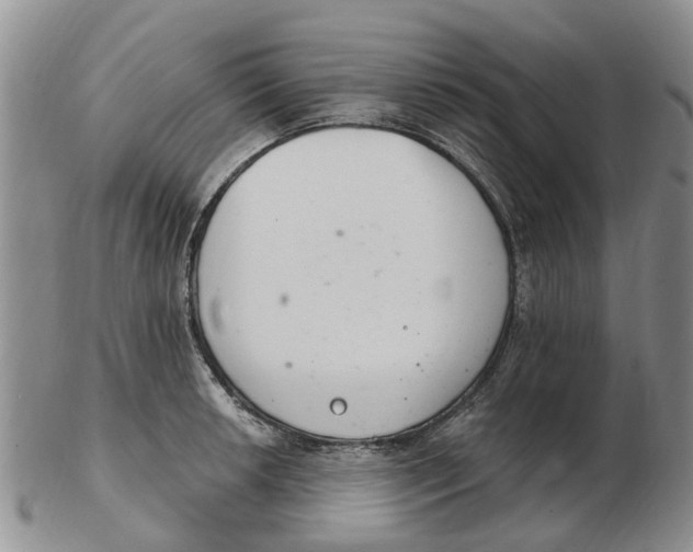 X0000103171042200809121856