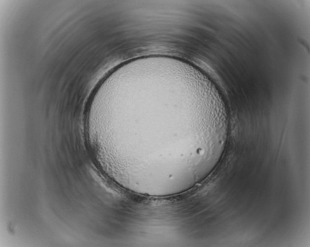 X0000103171043200809121856