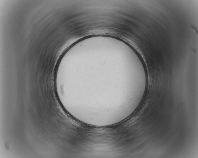 X0000103171045200809121856