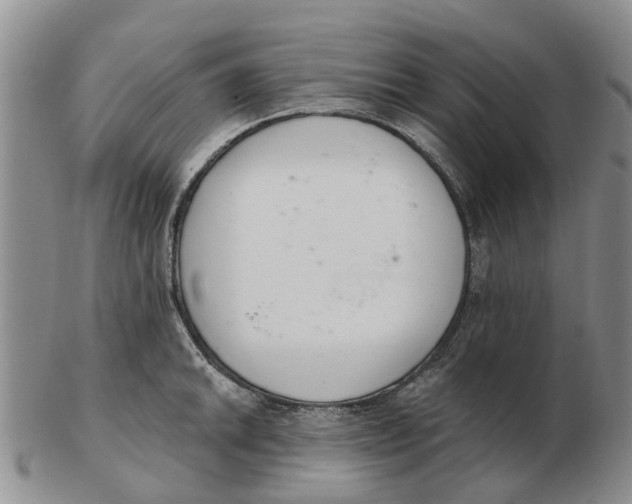 X0000103171046200809121856