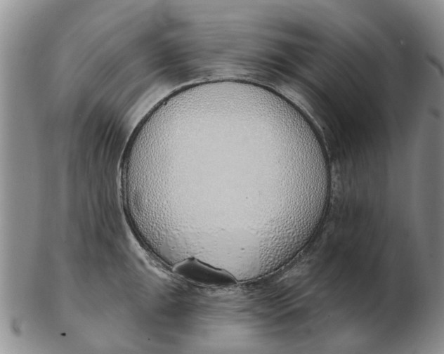 X0000103171047200809121856