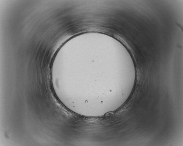 X0000103171048200809121856