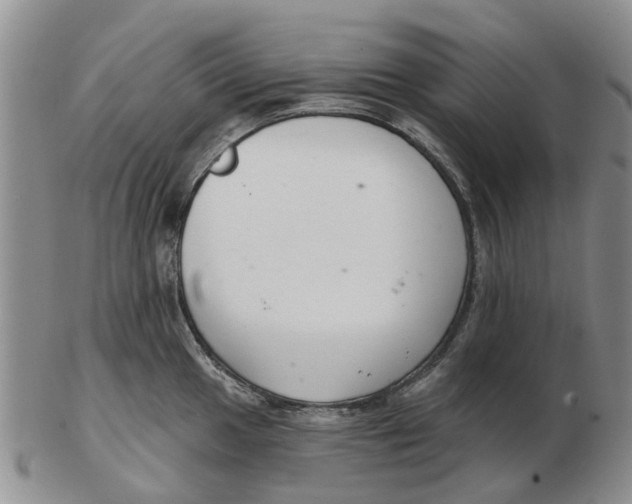 X0000103171049200809121857