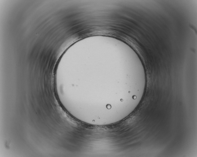 X0000103171050200809121857