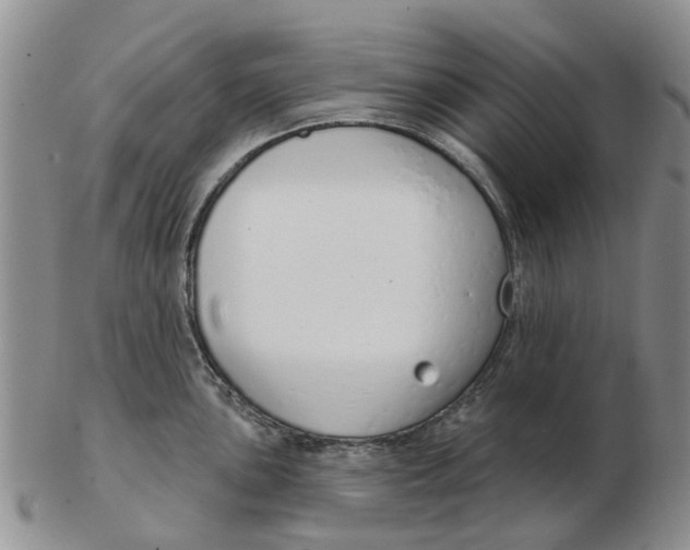 X0000103171051200809121857