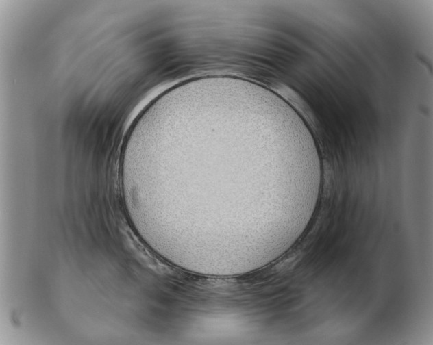 X0000103171052200809121857