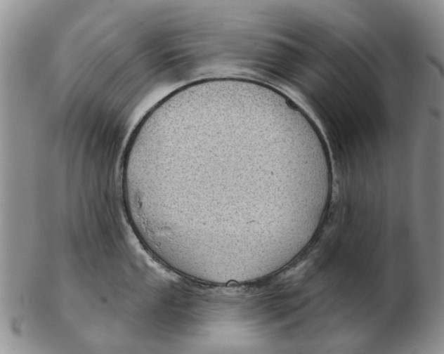 X0000103171053200809121857