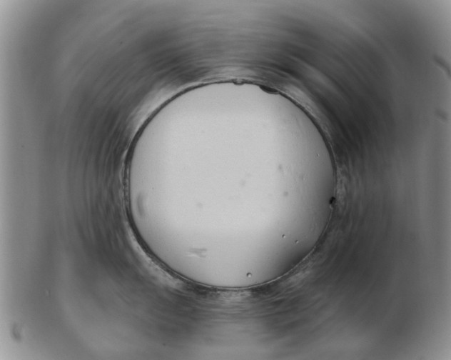 X0000103171055200809121857