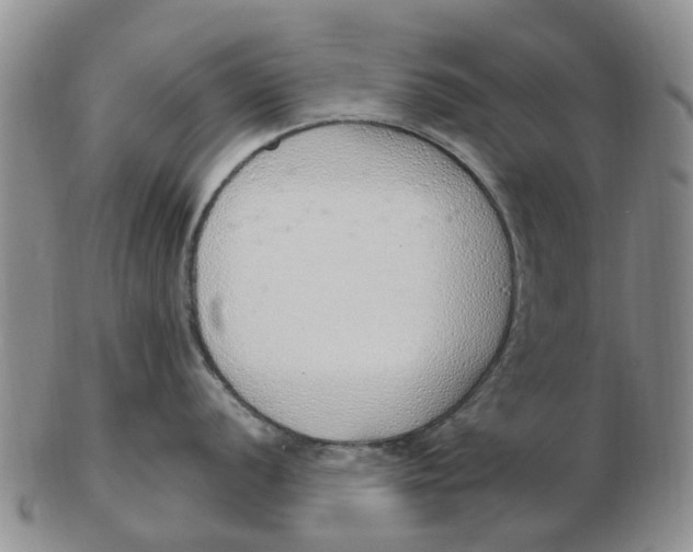 X0000103171056200809121857