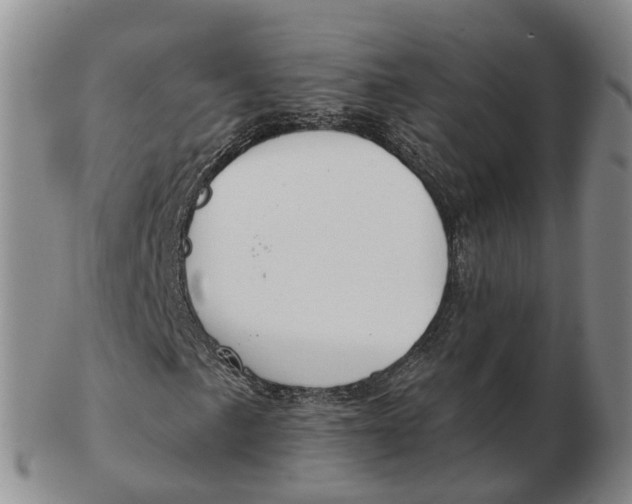 X0000103171057200809121856