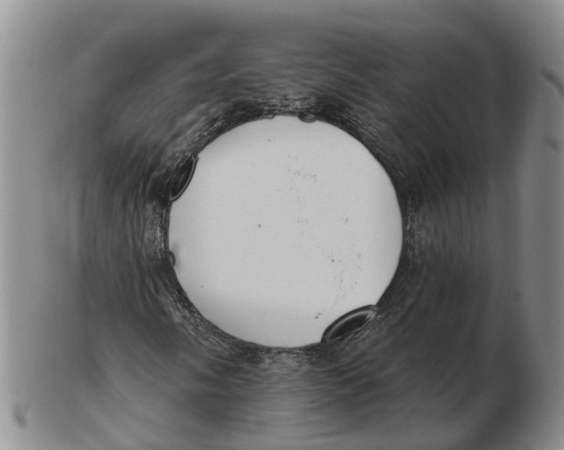 X0000103171058200809121856