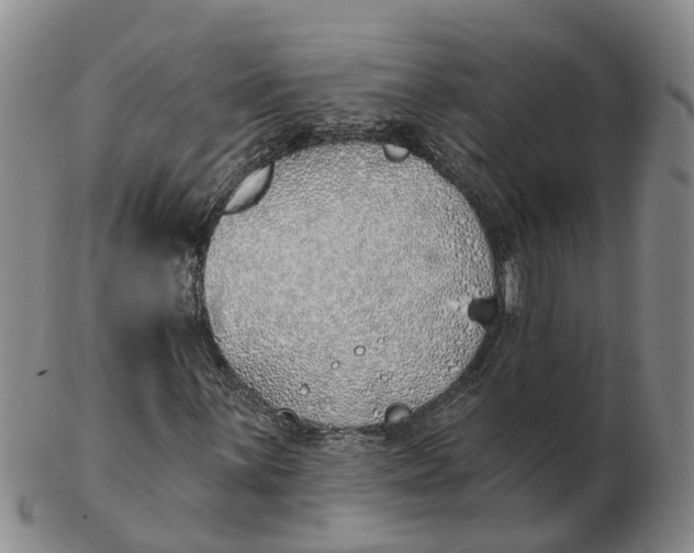 X0000103171059200809121856