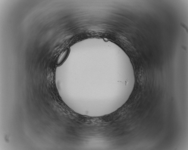 X0000103171061200809121856