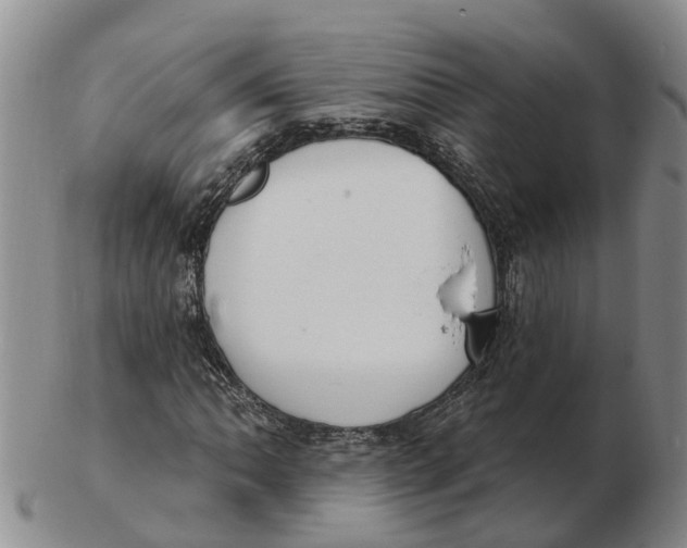 X0000103171062200809121856