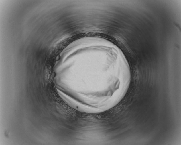 X0000103171063200809121856