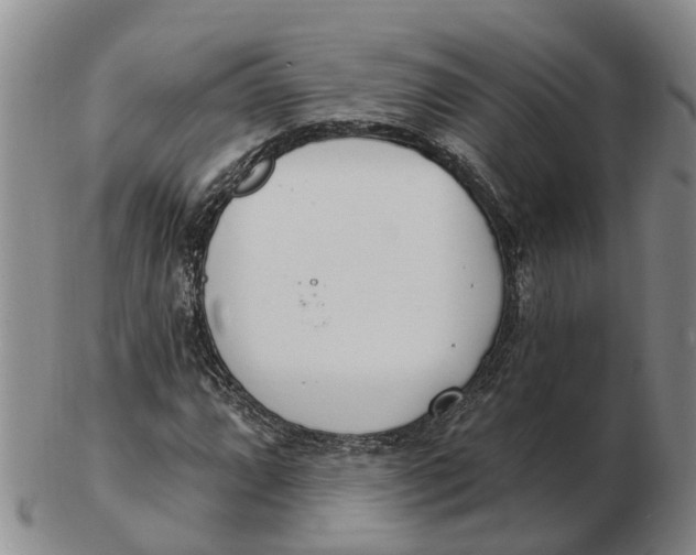 X0000103171064200809121856