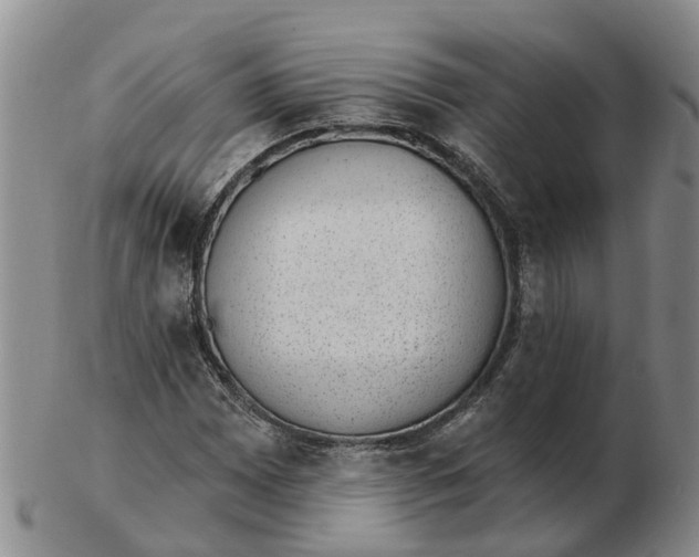 X0000103171065200809121856