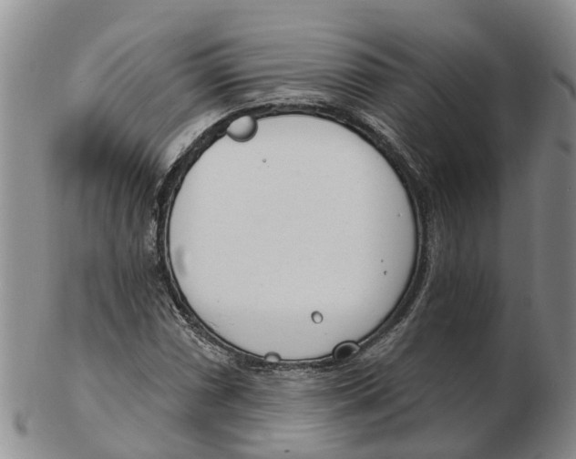 X0000103171066200809121856