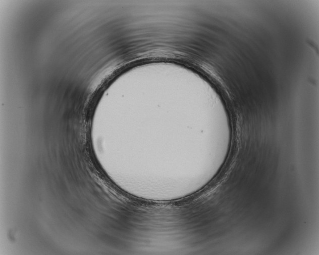 X0000103171067200809121856