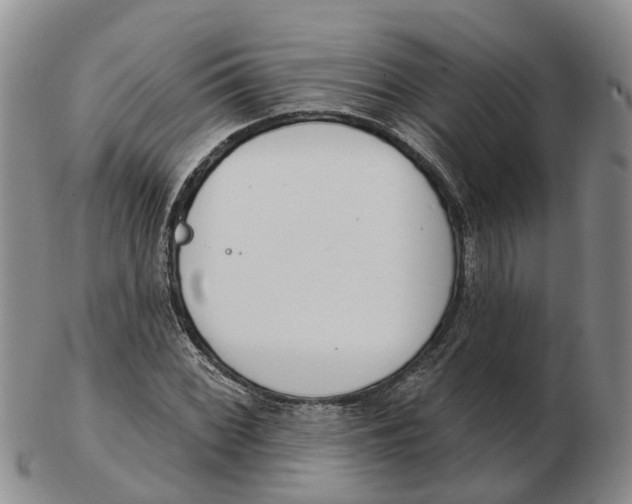 X0000103171068200809121856