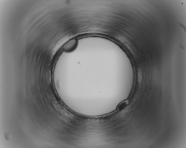 X0000103171069200809121856