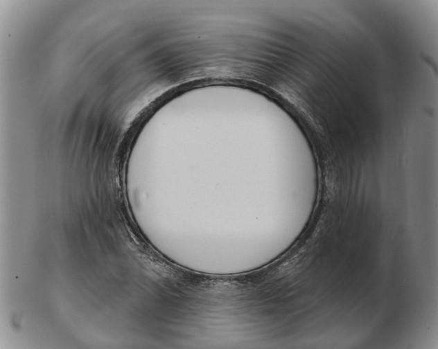 X0000103171070200809121856