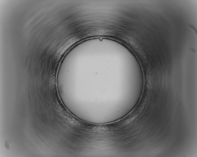 X0000103171073200809121856