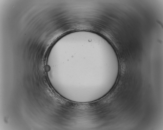 X0000103171074200809121856