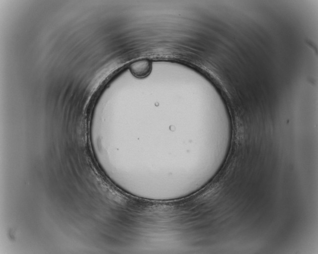 X0000103171075200809121856