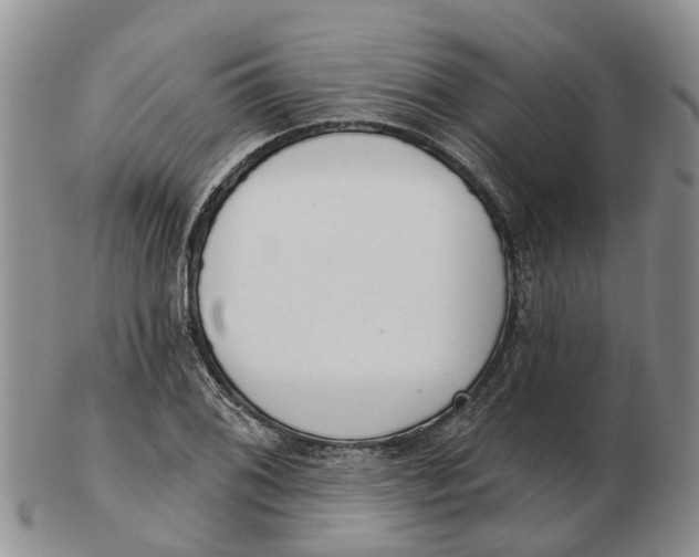 X0000103171076200809121856