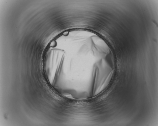 X0000103171077200809121855