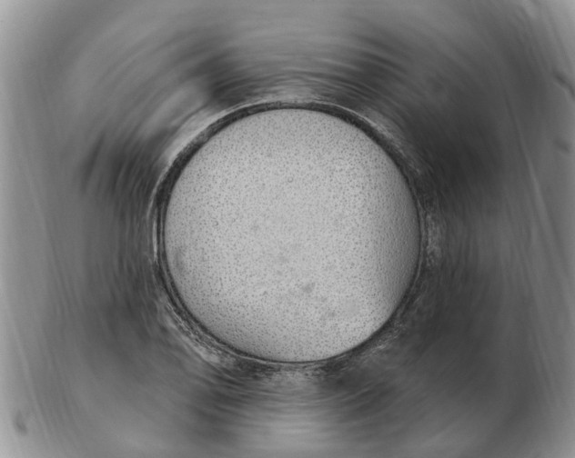 X0000103171078200809121855