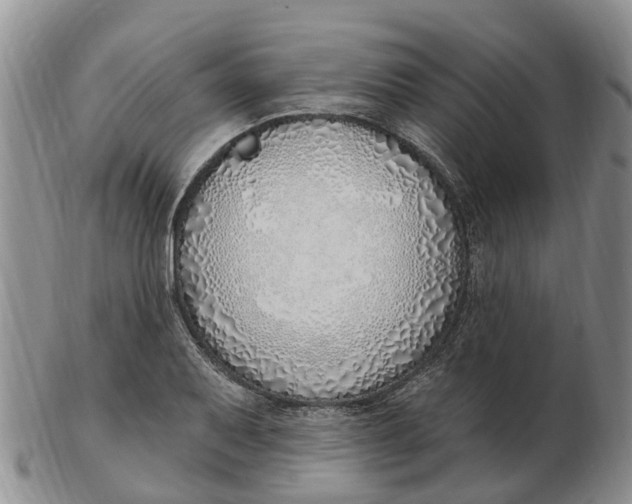 X0000103171079200809121855