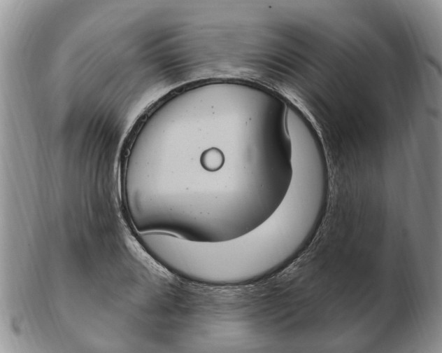 X0000103171080200809121855