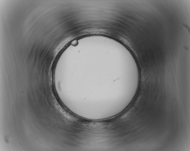 X0000103171082200809121855